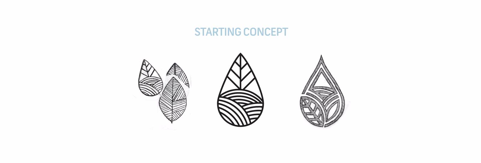 Rivers’ Remedies identity concept showing leaf and drop studies in black on white.